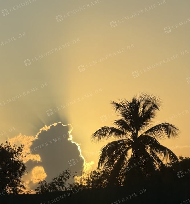 Nube con la silueta de una mujer iluminada por el sol junto a una palmera