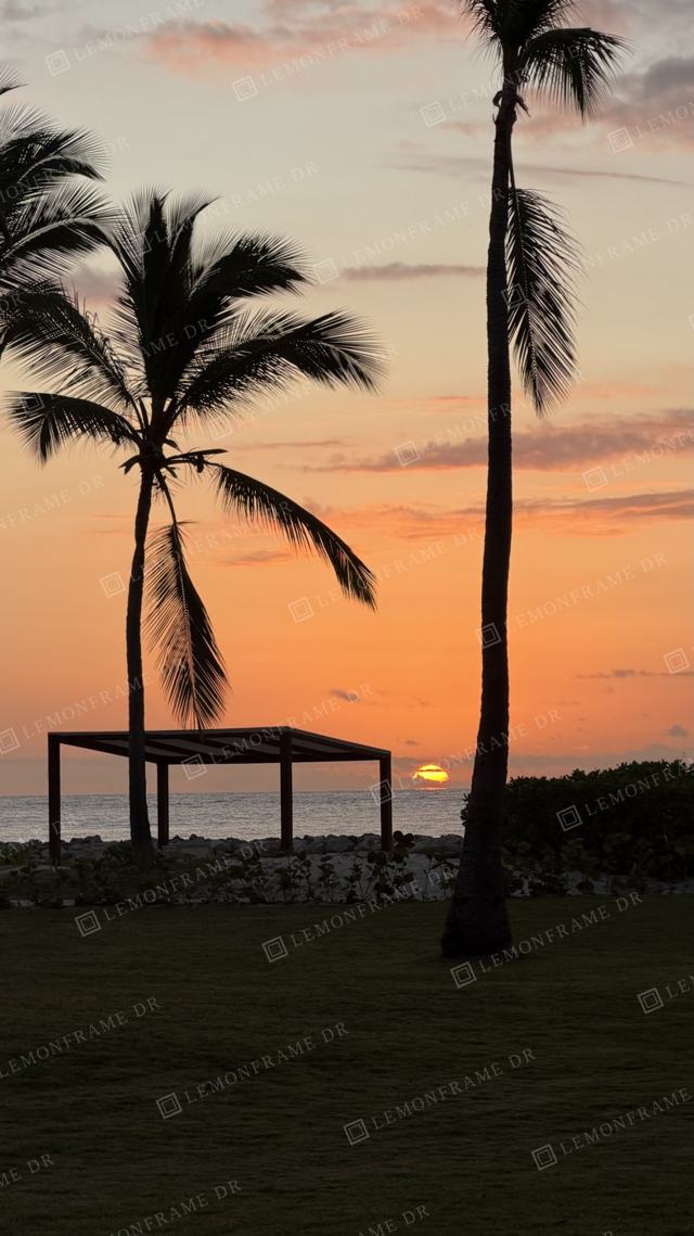 Palmeras y pérgola al atardecer
