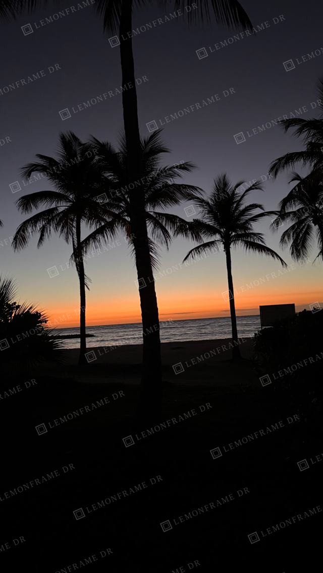 Siluetas de palmeras al anochecer frente al mar