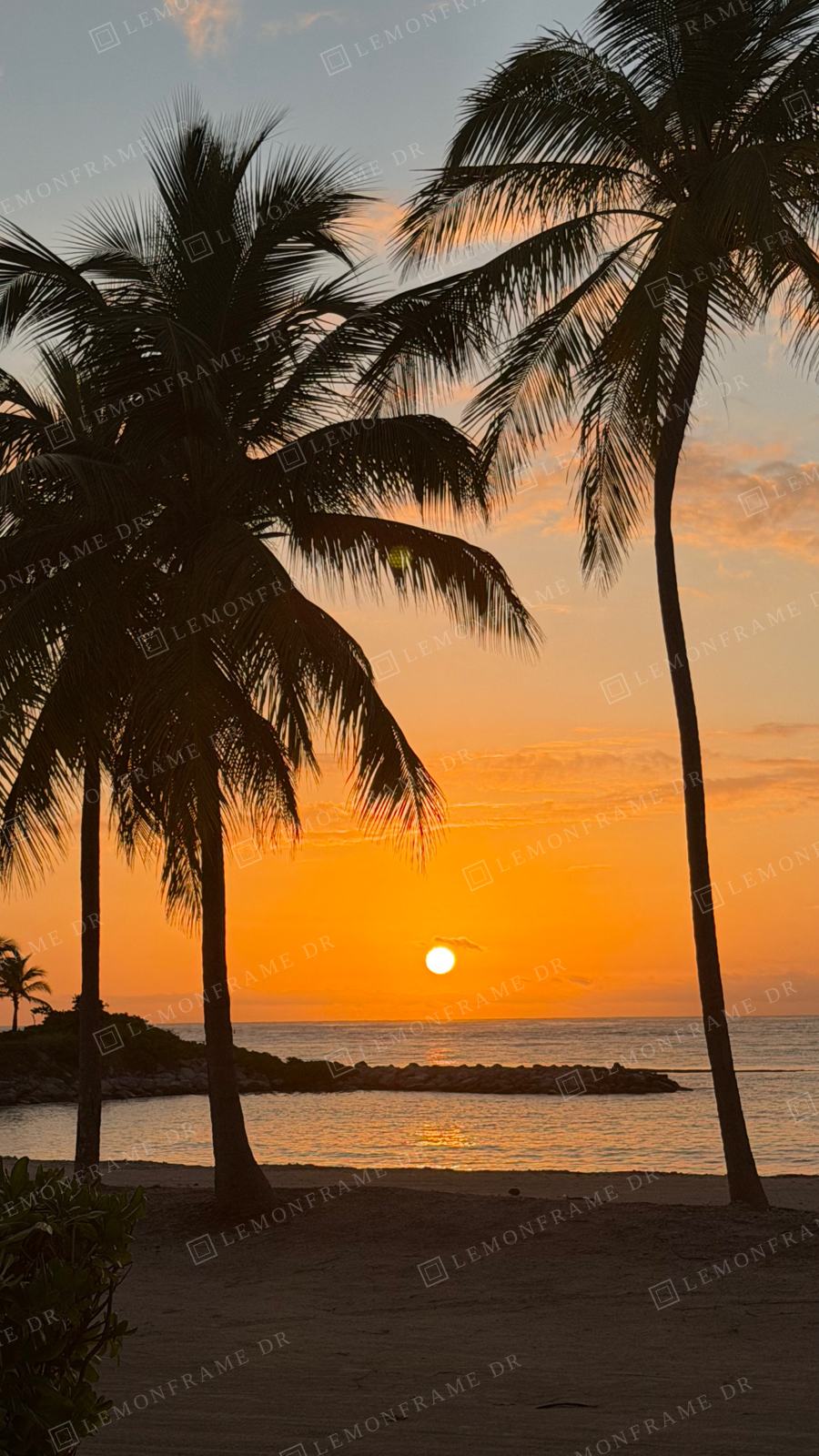 Palmeras frente al mar al atardecer en Punta Cana